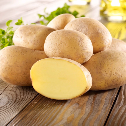 Sadbové zemiaky Gunda - Solanum tuberosum - Kiepenkerl - sadivo - 10 ks