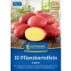 Sadbové zemiaky Laura - Solanum tuberosum - Kiepenkerl - sadivo - 10 ks