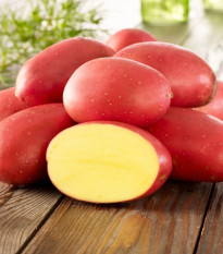 Sadbové zemiaky Laura - Solanum tuberosum - Kiepenkerl - sadivo - 10 ks