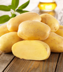 Sadbové zemiaky Sieglinde - Solanum tuberosum - Kiepenkerl - sadivo - 10 ks