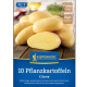 Sadbové zemiaky Cilena - Solanum tuberosum - Kiepenkerl - sadivo - 10 ks