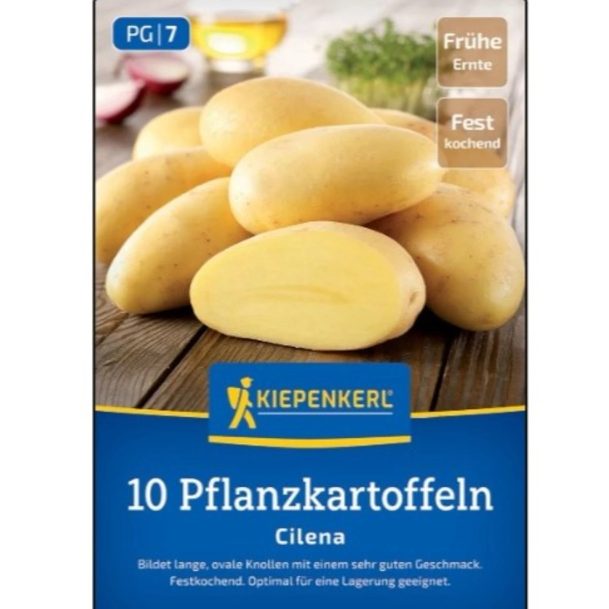 Sadbové zemiaky Cilena - Solanum tuberosum - Kiepenkerl - sadivo - 10 ks