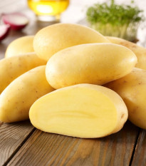 Sadbové zemiaky Cilena - Solanum tuberosum - Kiepenkerl - sadivo - 10 ks