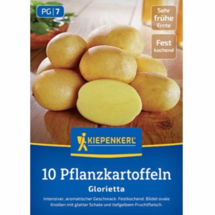 Sadbové zemiaky Glorietta - Solanum tuberosum - Kiepenkerl - sadivo - 10 ks
