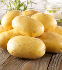 Sadbové zemiaky Bernina - Solanum tuberosum - Kiepenkerl - sadivo - 10 ks