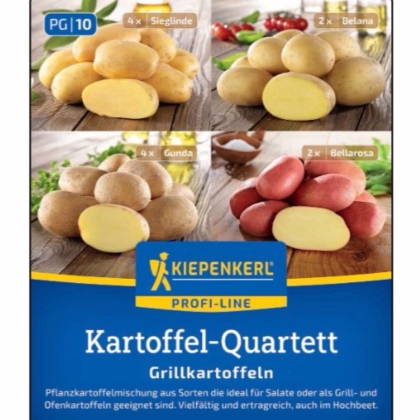 Sadbové zemiaky - 4 druhy - grilovacie - Solanum tuberosum - sadivo - 12 ks