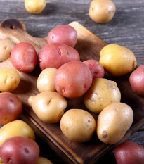 BIO Sadbové zemiaky - 4 druhy - rozmanitosť - Solanum tuberosum - sadivo - 12 ks