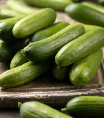 Miniuhorka šalátová La Diva - Cucumis sativus - osivo uhorky - 8 ks