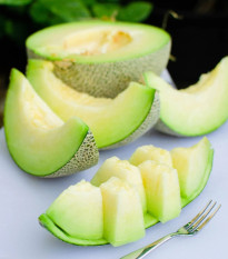 Melón Tenor F1 - Cucumis melo - osivo melóna - 6 ks