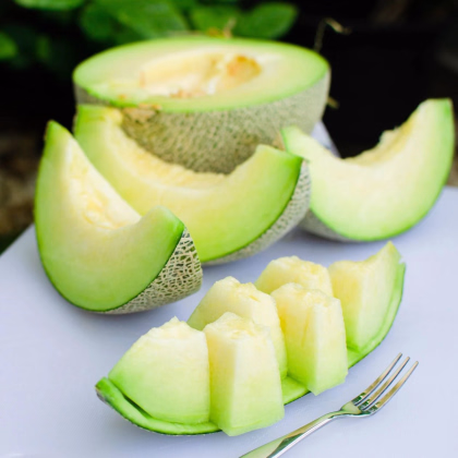 Melón Tenor F1 - Cucumis melo - osivo melóna - 6 ks