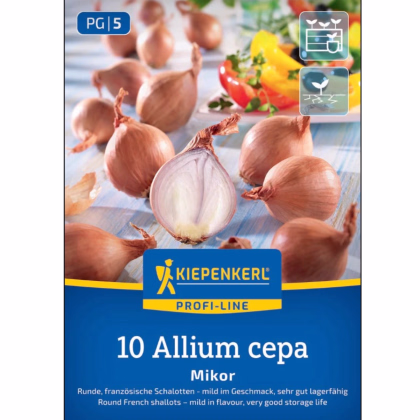 Cibuľa šalotka Mikor - Allium cepa - cibuľky sadzačky - 10 ks