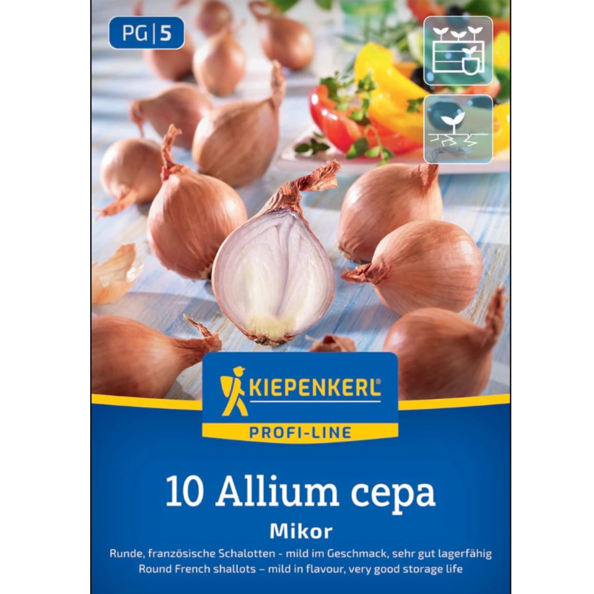 Cibuľa šalotka Mikor - Allium cepa - cibuľky sadzačky - 10 ks