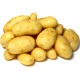 Sadbové zemiaky Camelia - Solanum tuberosum - sadivo - 5 kg