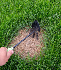 Trávnik na dosev Premium - osivo Kiepenkerl - zmes - 25 g