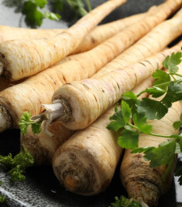 Petržlen koreňový Halblange Eagle - Petroselinum crispum - osivo petržlena - 500 ks