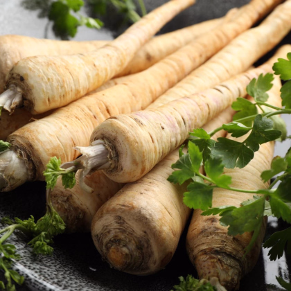 Petržlen koreňový Halblange Eagle - Petroselinum crispum - osivo petržlena - 500 ks
