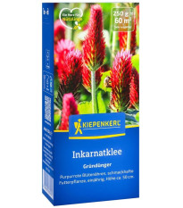 Zelené hnojenie - Ďatelina inkarnát - osivo - 250 g