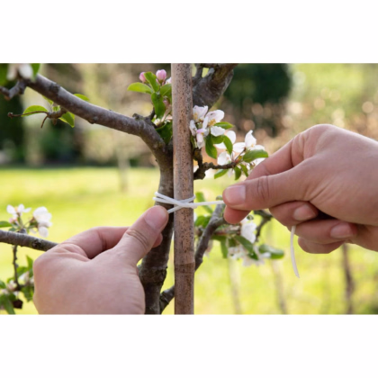 Biologicky rozložiteľná viazacia bužírka - SOGO - pestovateľské pomôcky - 10m - 1 ks