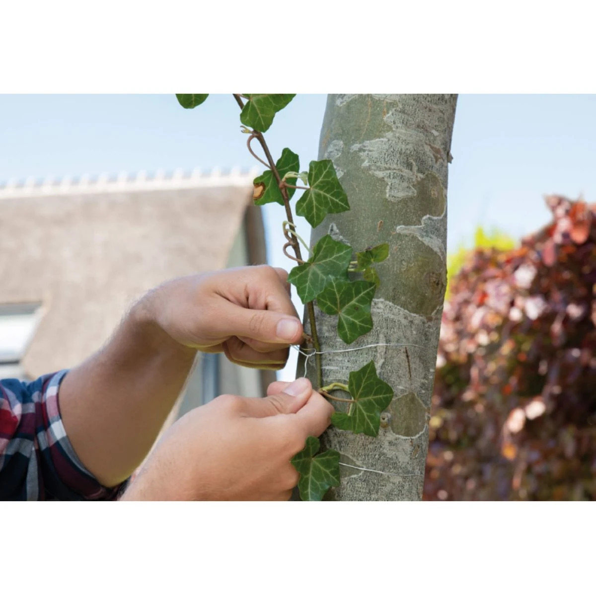 Záhradný drôt - SOGO - pestovateľské pomôcky - 50m - 1 ks