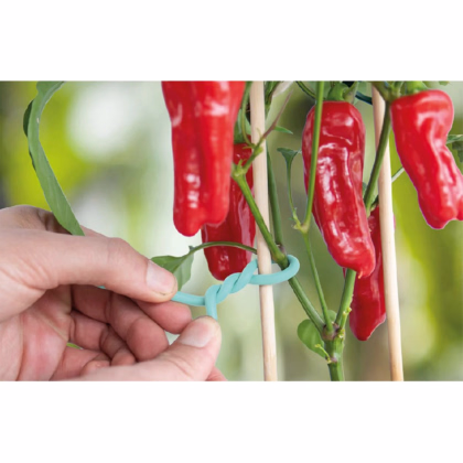 Gumový pás s drôtom - SOGO - pestovateľské pomôcky - 7 m - 1 ks