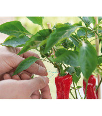 Záhradný drôt zelený s rezačom - SOGO - pestovateľské pomôcky - 100m - 1 ks