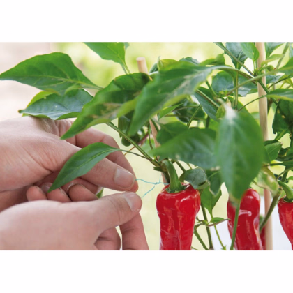 Záhradný drôt zelený s rezačom - SOGO - pestovateľské pomôcky - 30 m - 1 ks