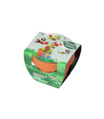 Darčeková súprava na pestovanie jahôd - Pieterpik - 1 ks