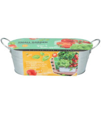 Buzzy - Okenná záhradka Caprese šalát - Pieterpik - 1 ks