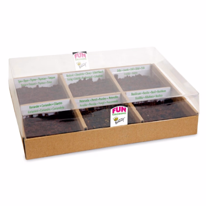 Buzzy - Štartovacia sada Tea Time - Pieterpik - 1 ks