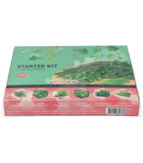 Buzzy - Štartovacia sada kuchynskej bylinky - Pieterpik - 1 ks