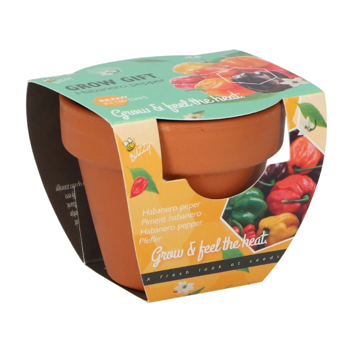 Buzzy Grow Gifts - Minisada na pestovanie chilli papriky - Pieterpik - 1 ks
