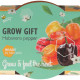 Buzzy Grow Gifts - Minisada na pestovanie chilli papriky - Pieterpik - 1 ks