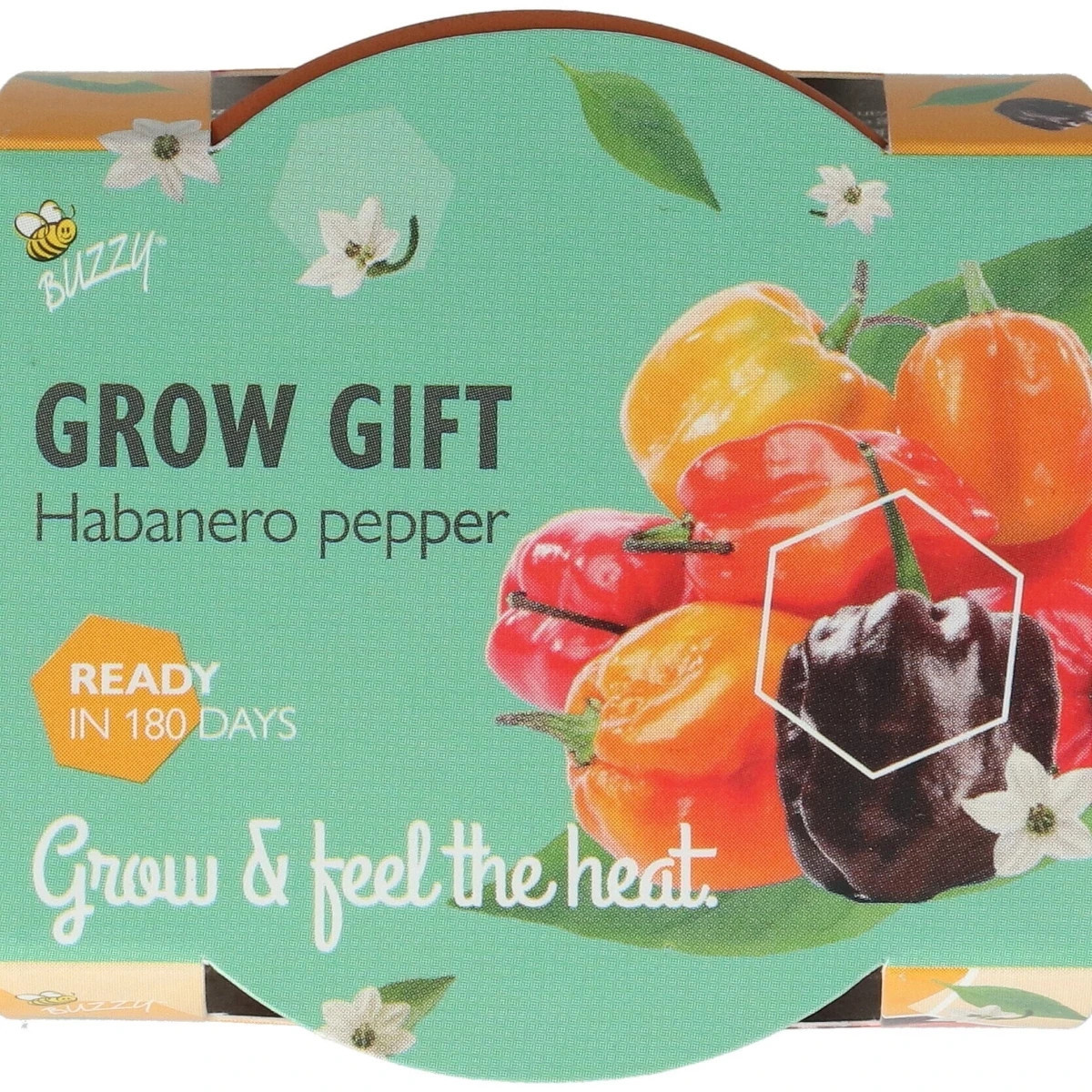 Buzzy Grow Gifts - Minisada na pestovanie chilli papriky - Pieterpik - 1 ks