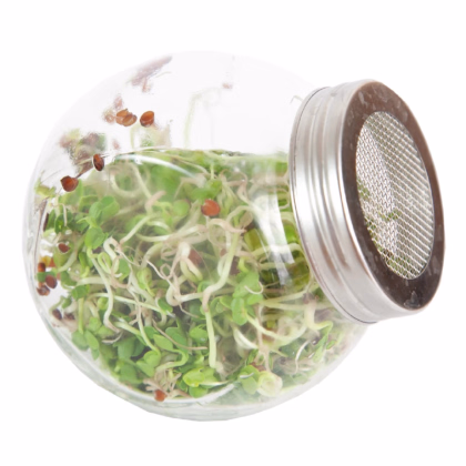 Buzzy - Bio klíčiaci pohár Daikon - Pieterpik - 1 ks