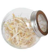 Buzzy - Bio klíčiaci pohár Mungo - Pieterpik - 1 ks