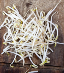 Buzzy - Bio klíčiaci pohár Mungo - Pieterpik - 1 ks