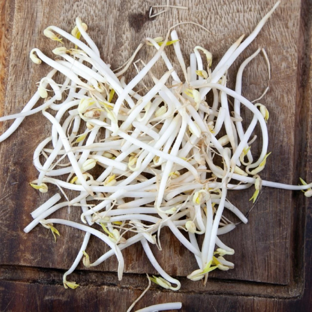 Buzzy - Bio klíčiaci pohár Mungo - Pieterpik - 1 ks