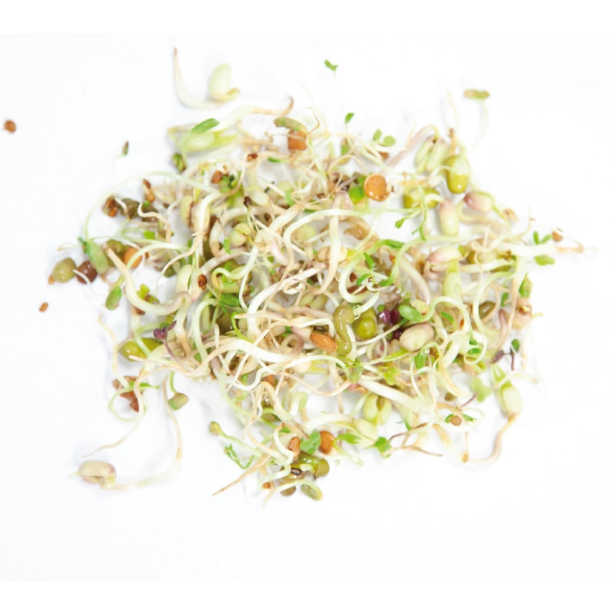 Buzzy - Bio klíčiace poháre Šalátový mix - Pieterpik - 1 ks