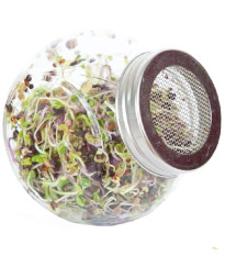 Buzzy - Bio klíčiace poháre Pikantný mix - Pieterpik - 1 ks