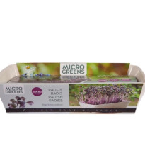 Buzzy - Súprava na pestovanie reďkovky Daikon Red - Pieterpik - 1 ks