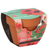 Buzzy Grow Gifts - Minisada na pestovanie maku - Pieterpik - 1 ks