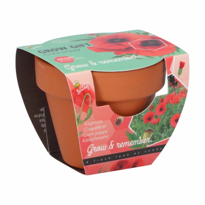 Buzzy Grow Gifts - Minisada na pestovanie maku - Pieterpik - 1 ks