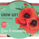 Buzzy Grow Gifts - Minisada na pestovanie maku - Pieterpik - 1 ks