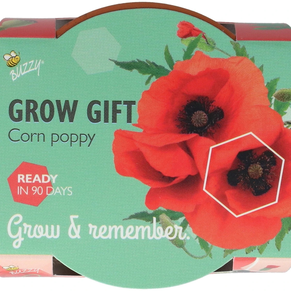 Buzzy Grow Gifts - Minisada na pestovanie maku - Pieterpik - 1 ks