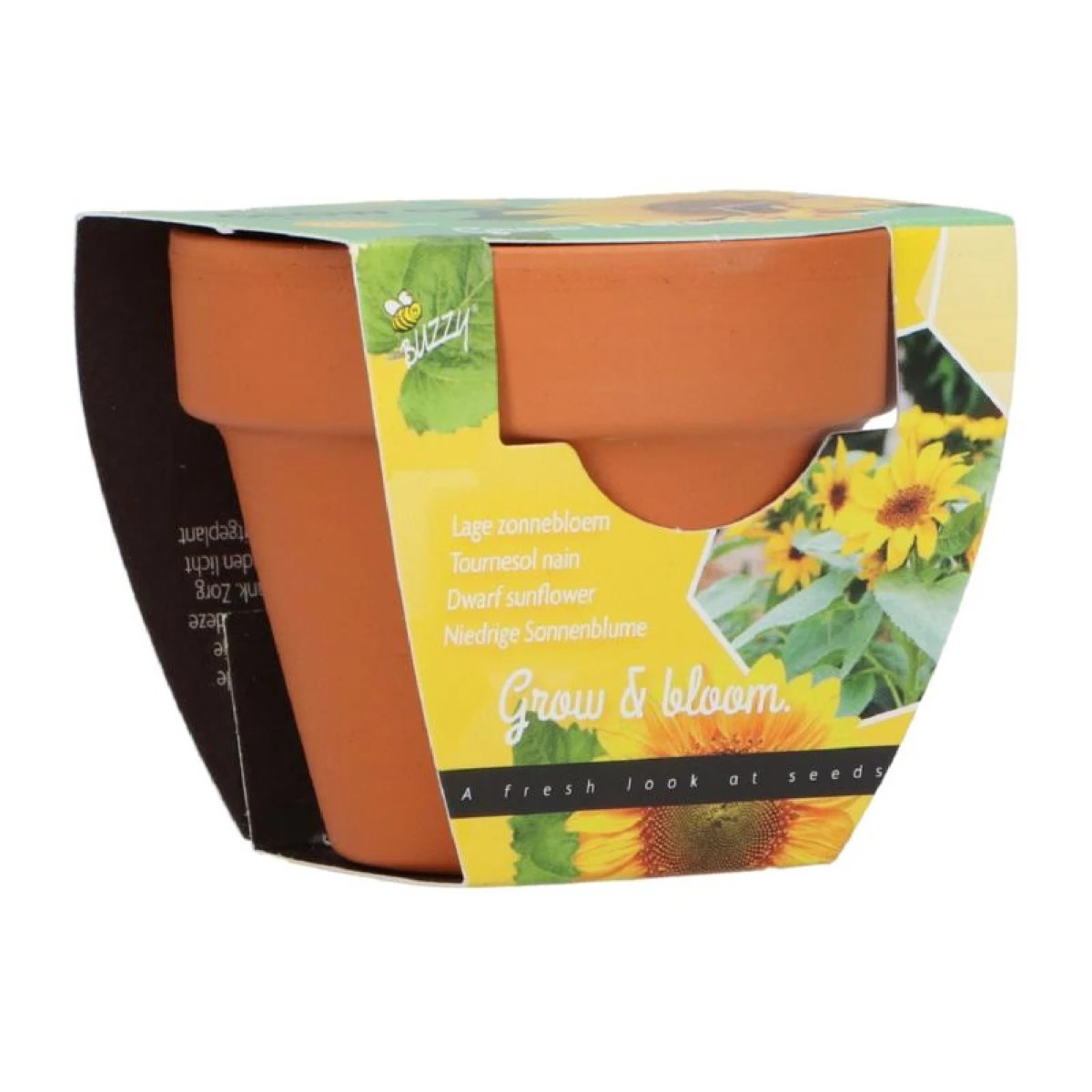 Buzzy Grow Gifts - Minisada na pestovanie slnečnice - Pieterpik - 1 ks