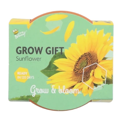Buzzy Grow Gifts - Minisada na pestovanie slnečnice - Pieterpik - 1 ks