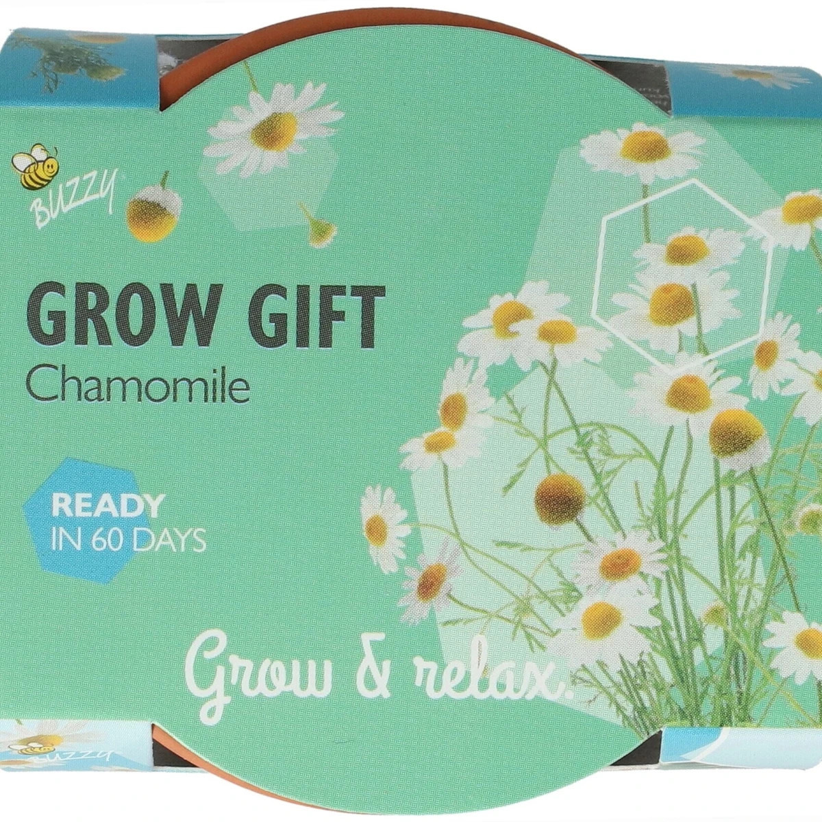 Buzzy Grow Gifts - Minisada na pestovanie harmančeka - Pieterpik - 1 ks