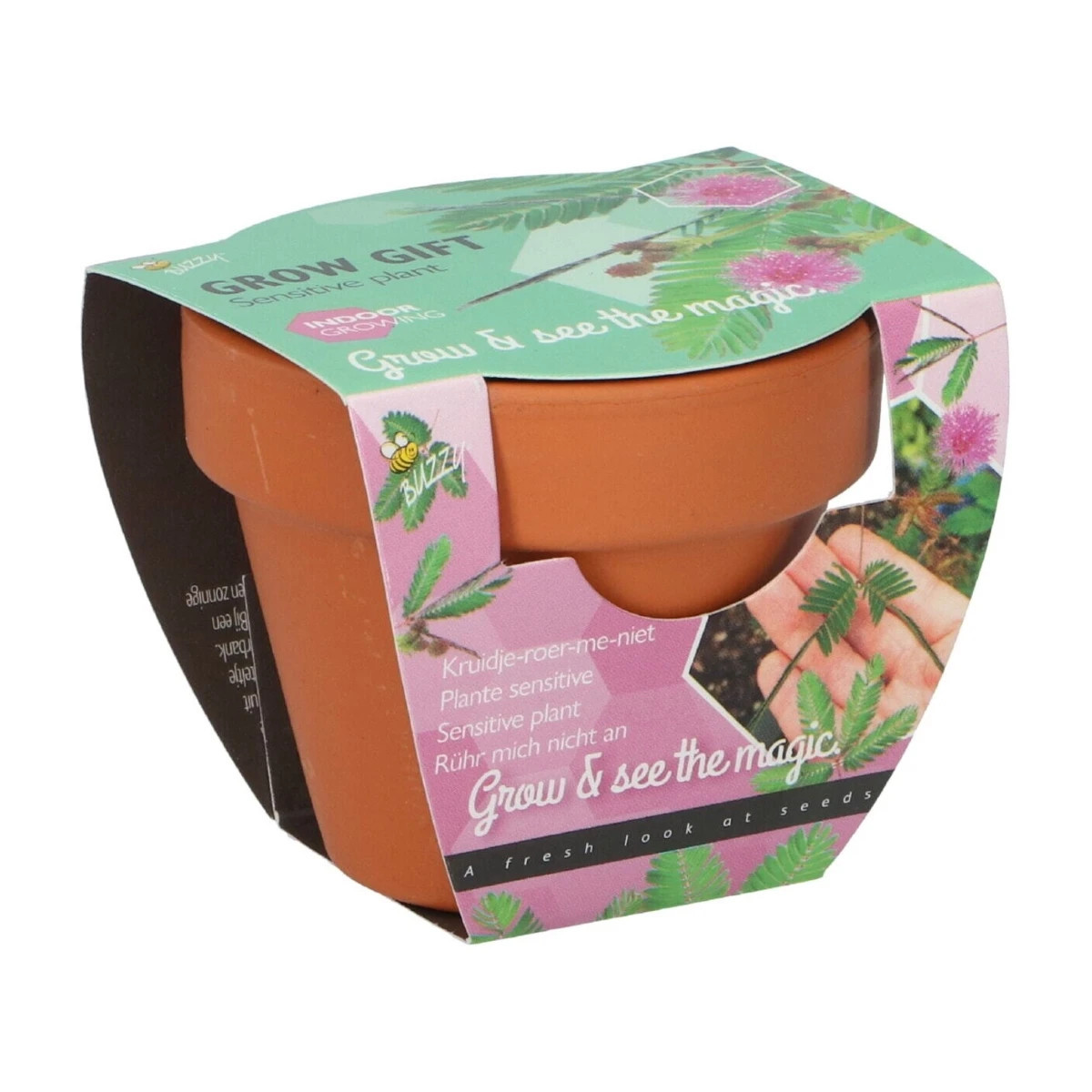Buzzy Grow Gifts - Minisúprava na pestovanie citlivky - Pieterpik - 1 ks