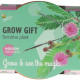Buzzy Grow Gifts - Minisúprava na pestovanie citlivky - Pieterpik - 1 ks