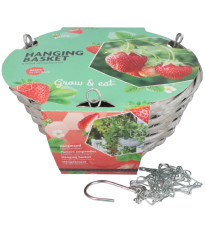 Buzzy - Závesná záhradka na pestovanie jahôd - Pieterpik - 1 ks